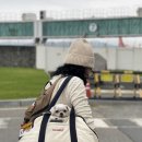 나라애견본점 | [에어로케이] 애견동반 청주-제주여행 후기 🐶✈️