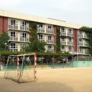 대구두류초등학교 Daum카페