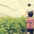 기주농장 이미지