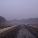 용미 Daum카페