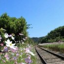 동명스님 "현수막 설치는 무도한 행위" 공문 /금일 선학 워크숍,조별토론 및 사례발표 등 (9/22,법회장 현안보고) 이미지