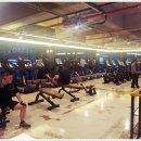 몸스타휘트니스 이미지