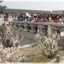 [2010.04.19] 서울 송중초등학교 4학년 현장학습( 서울 600년) 이미지