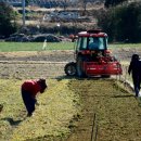 군서농장 이미지