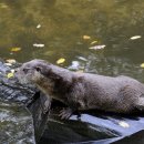 얼음왕국 이미지