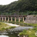 삼탄유원지 Daum카페