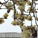 멍밥상 | 남양주 소리소 시골밥상 - 엄빠랑 나들이 후 솥밥정식 먹기