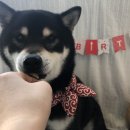 도기키친 프롬제주 이미지