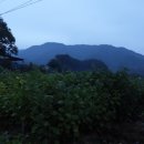 오음2리 이미지