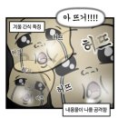 찐빵만두 - 안양시 만안구 안양로 455-1 | 가창 호찐빵만두나라 2호점 내돈내산 호빵찐빵만두 흡입후기