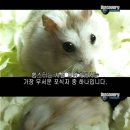 뚱땅뚱땅 이미지