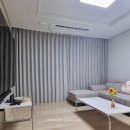 시공-나비 이미지