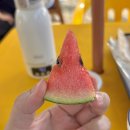 돌담하우스 | 춘천 대형 카페, 아기 유모차 가능 신북 식물원 돌담카페