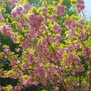 마당두들약수터 이미지