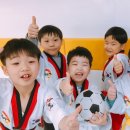 호동태권도 이미지