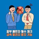 대한안경원 이미지