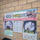 밤골식당 | 흥업 숨은 찐 보양식 현지인 맛집 추천 / 원주 능이오리백숙 능이닭백숙 삼계탕 맛집 / 원주 '밤골식당'