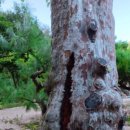 태림농원 이미지