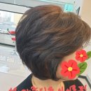 준헤어랭귀지 네이버블로그