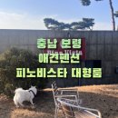 충남 보령 애견펜션 피노비스타 대형룸 내돈내산 후기