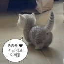 기역기역