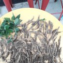 달달궁1 이미지