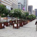 전북산림환경연구소(산림청) 이미지