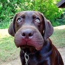 24시 산들산들 동물병원 이미지