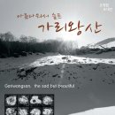 생것 미디어