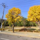 승진셀프세차장 이미지