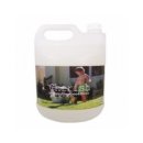 체리쉬퍼피 이미지