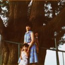 토성(土城) 터 이미지