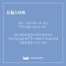 더드림행정지원센타 이미지