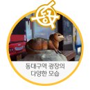 동대구역 관광안내소 이미지