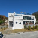 바래미바네사