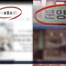 '유기견 보호소' 찾아갔더니…'신종 펫숍' 이미지