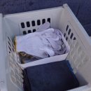 디케이워시 내동점 이미지