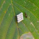 동암아이사랑어린이집 이미지