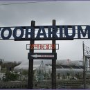 왕릉복권 이미지