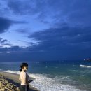 경포별빛연가 이미지