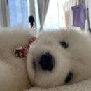 청담이상(영등점) | ❄️12-2