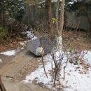 민호네 태양광발전소 이미지