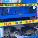 주원수산 - 완도군 | 주원수산