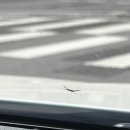 다온수지 | 안양 군포 차앞유리 돌빵 복원 후기｜다온다자동차유리 안양군포점 실제 방문