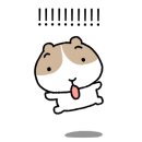헤어&속눈썹