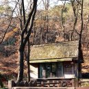 큰숲작은도서관 이미지