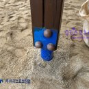 사동초등학교 이미지