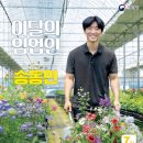 청년모종 이미지