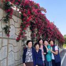 말밭농장 이미지