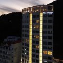 메르드로브 이미지